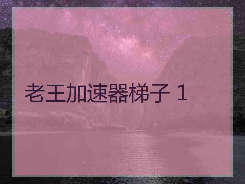 老王加速器梯子 1