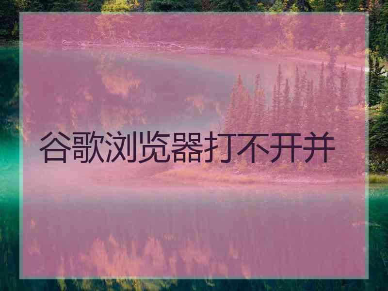 谷歌浏览器打不开并