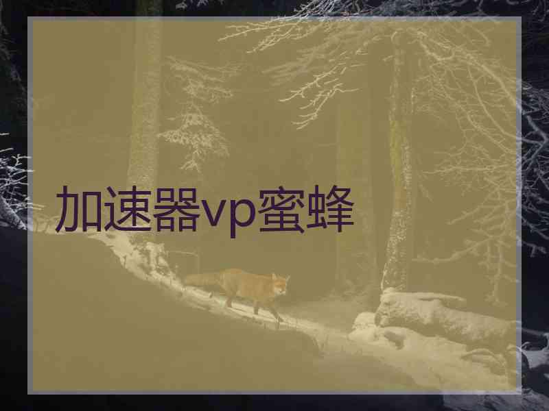 加速器vp蜜蜂