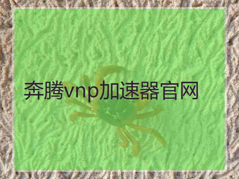 奔腾vnp加速器官网