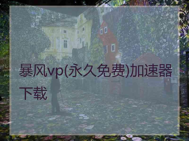 暴风vp(永久免费)加速器下载