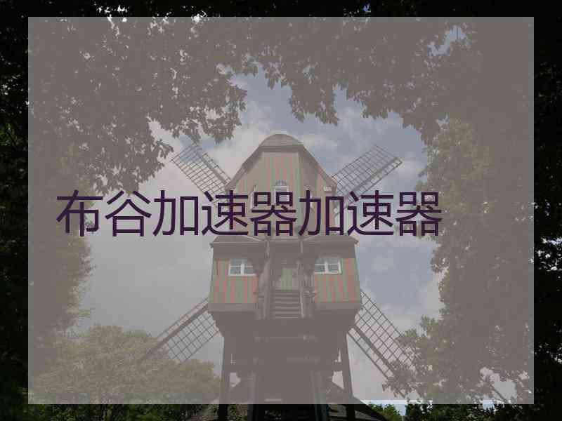 布谷加速器加速器