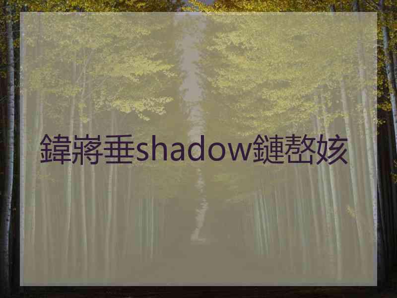 鍏嶈垂shadow鏈嶅姟