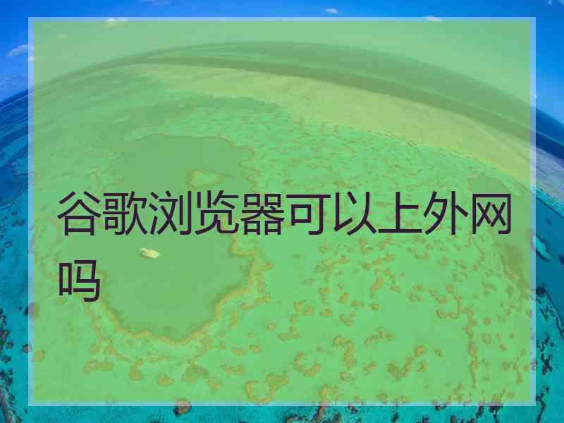 谷歌浏览器可以上外网吗