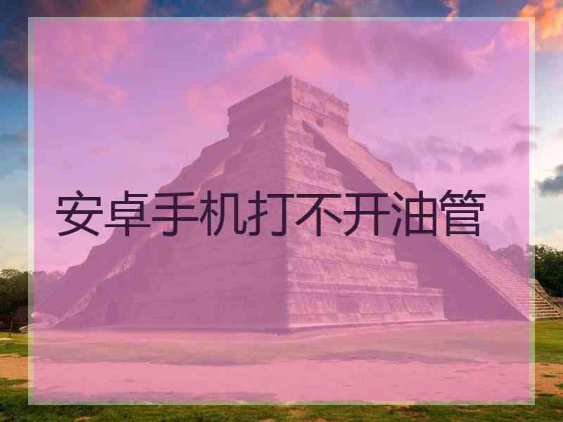 安卓手机打不开油管