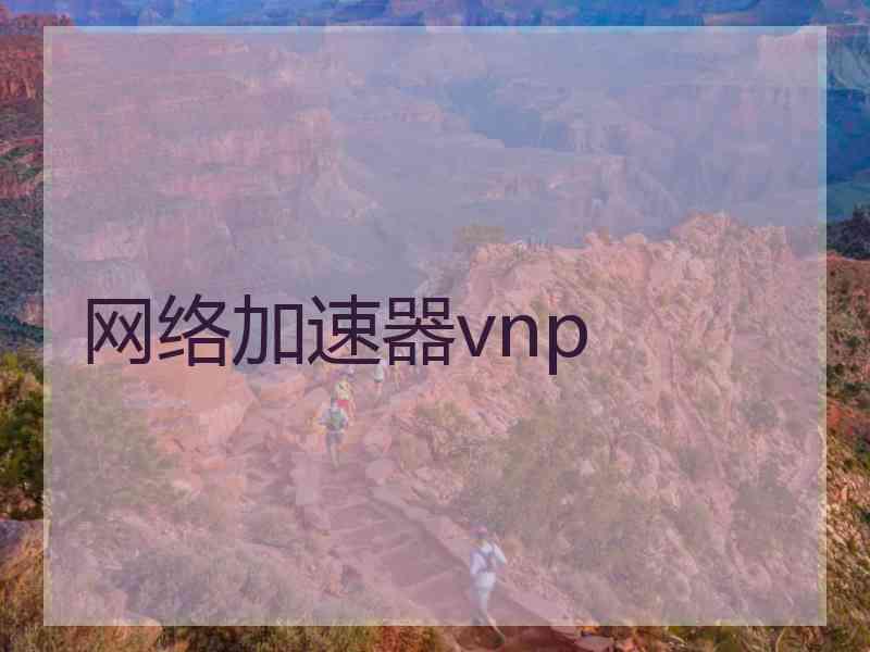 网络加速器vnp