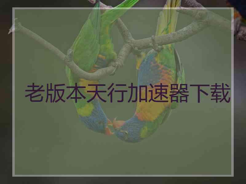 老版本天行加速器下载