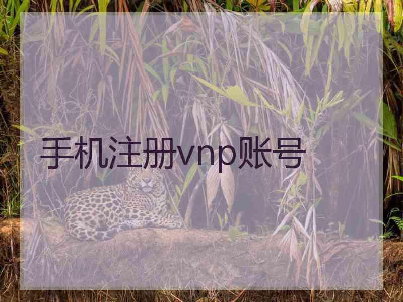 手机注册vnp账号