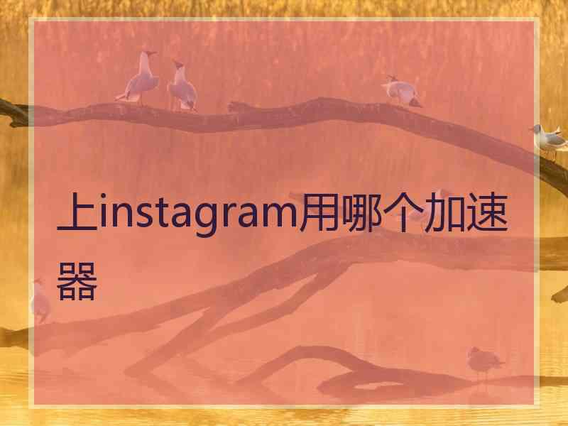 上instagram用哪个加速器