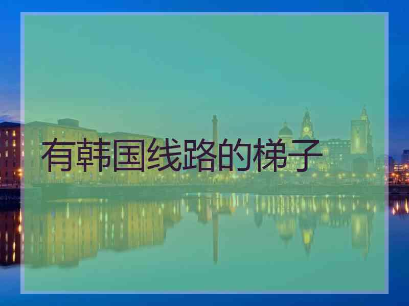 有韩国线路的梯子