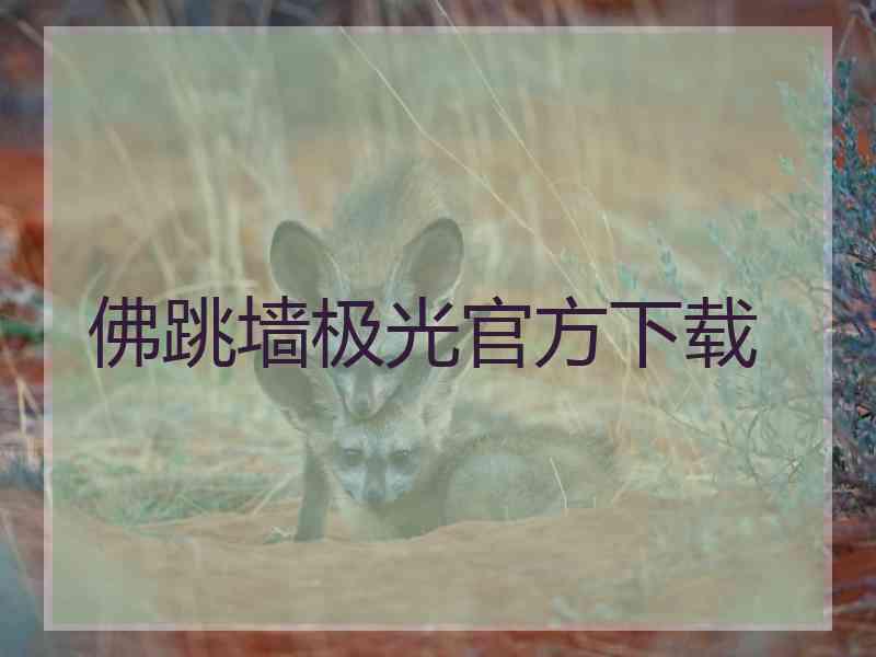 佛跳墙极光官方下载