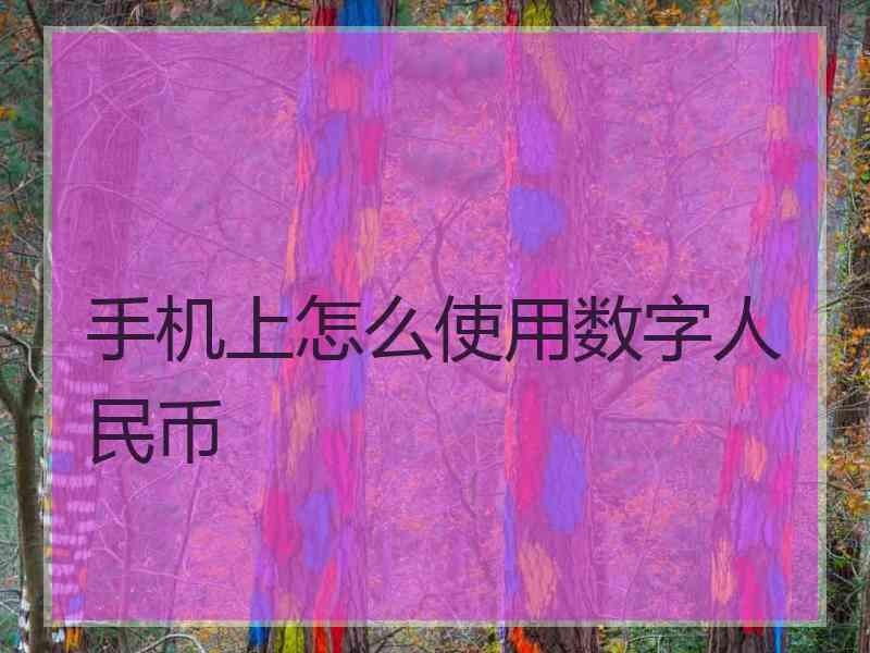 手机上怎么使用数字人民币
