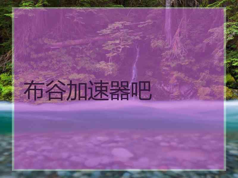 布谷加速器吧
