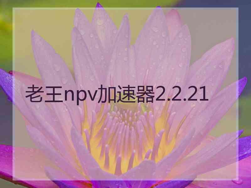 老王npv加速器2.2.21