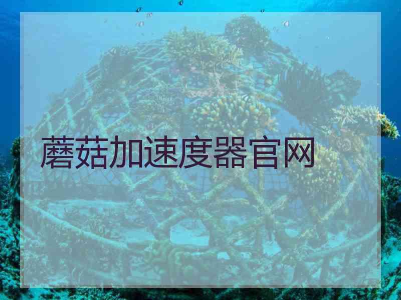蘑菇加速度器官网