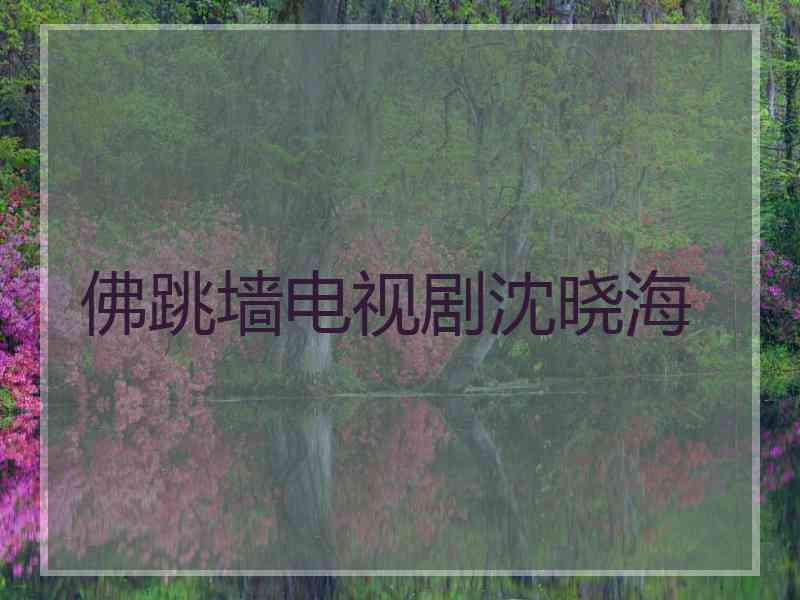 佛跳墙电视剧沈晓海