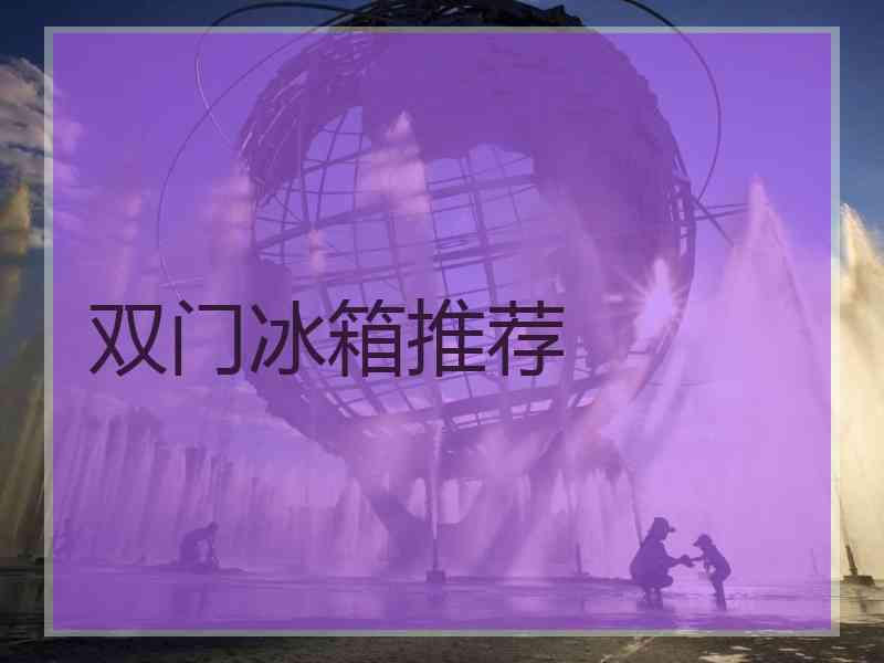 双门冰箱推荐