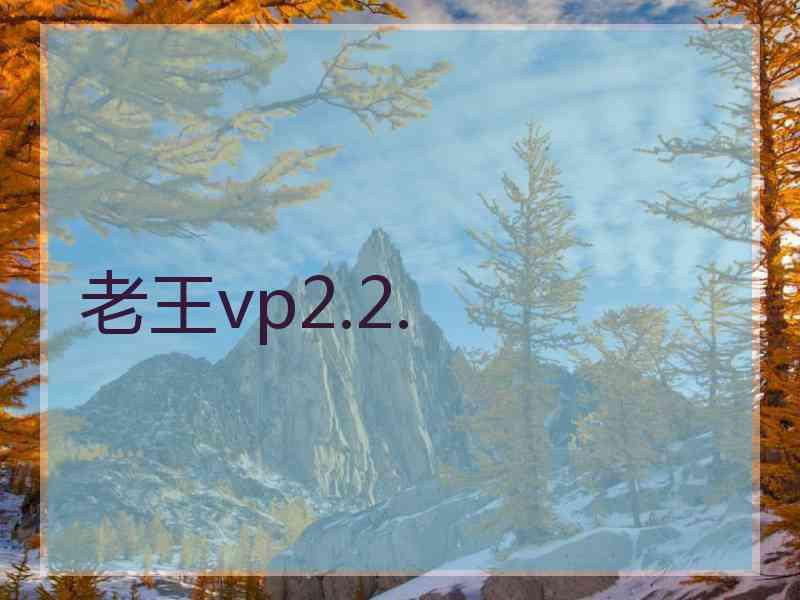 老王vp2.2.