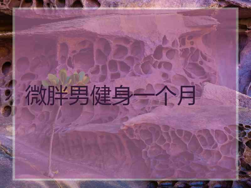 微胖男健身一个月