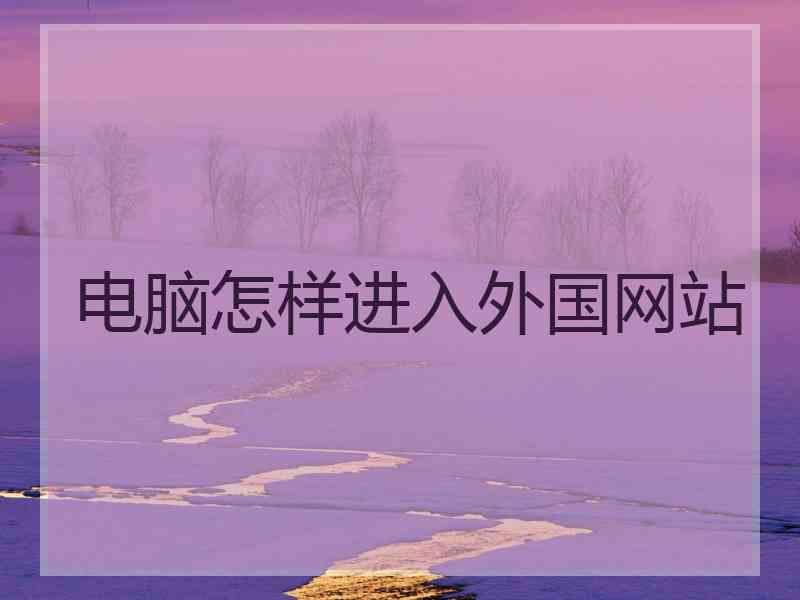 电脑怎样进入外国网站
