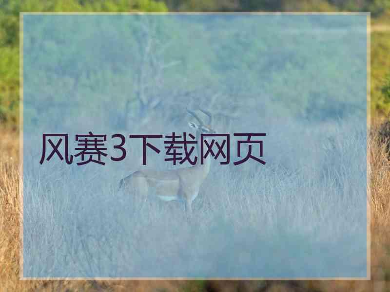 风赛3下载网页