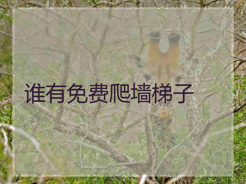 谁有免费爬墙梯子