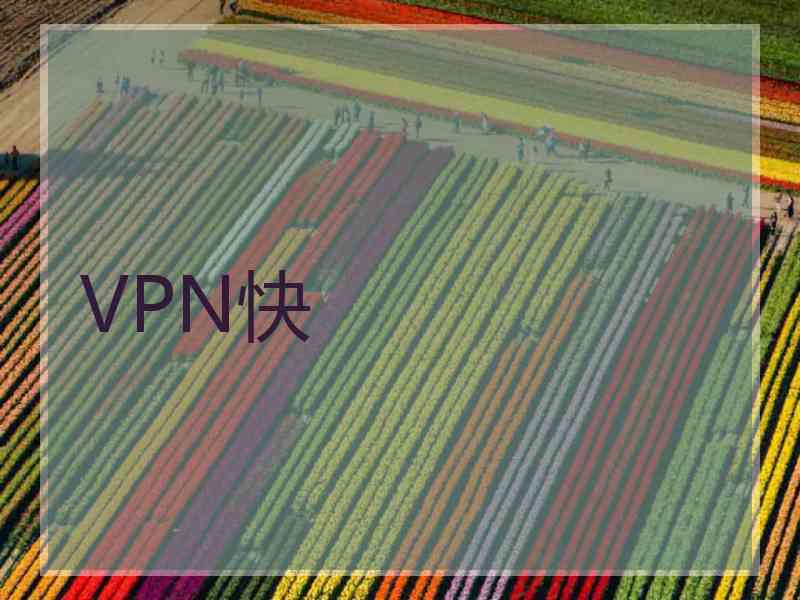 VPN快
