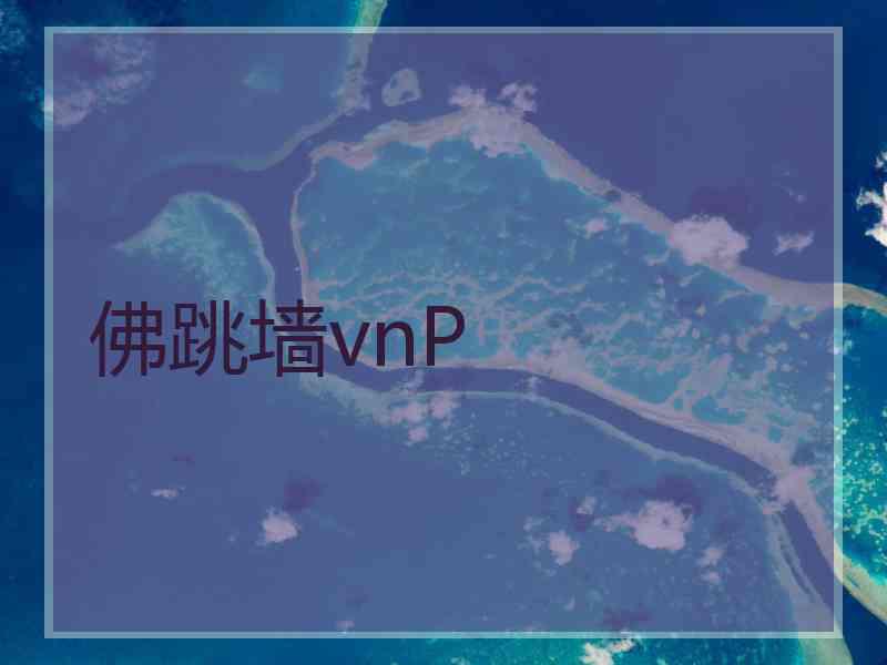 佛跳墙vnP