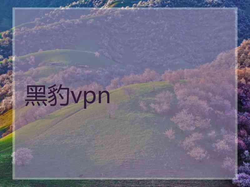 黑豹vpn