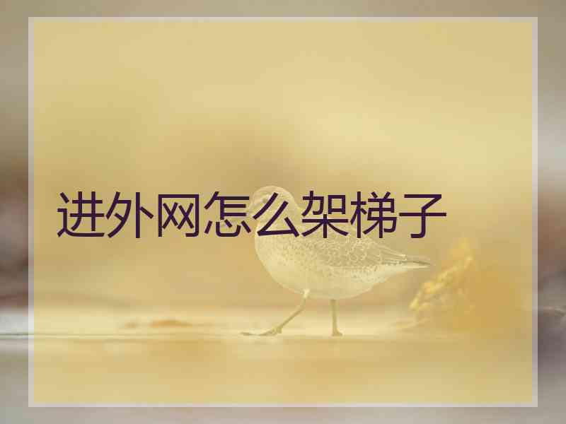 进外网怎么架梯子