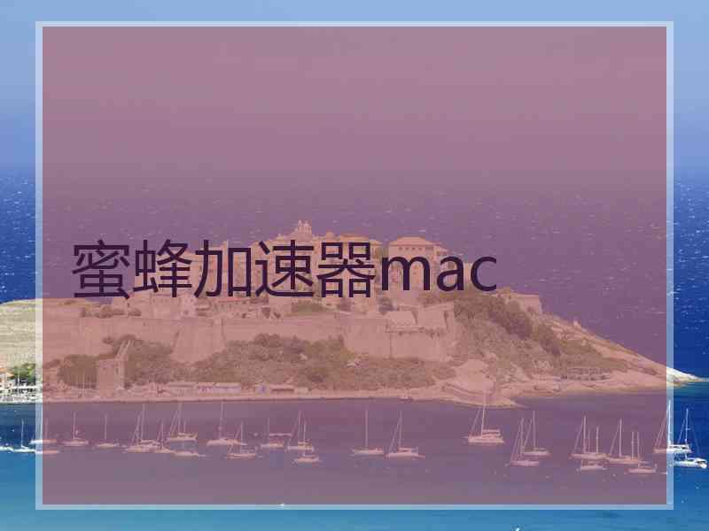 蜜蜂加速器mac