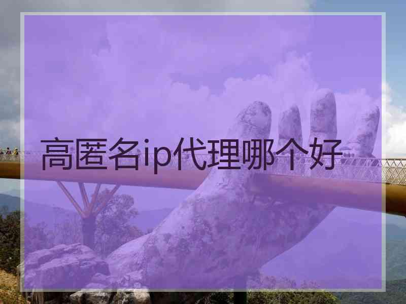 高匿名ip代理哪个好