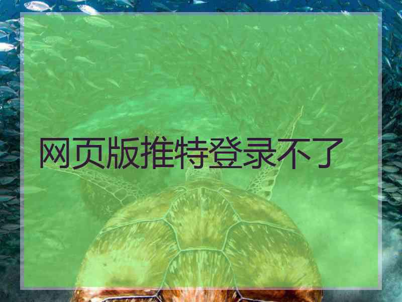 网页版推特登录不了