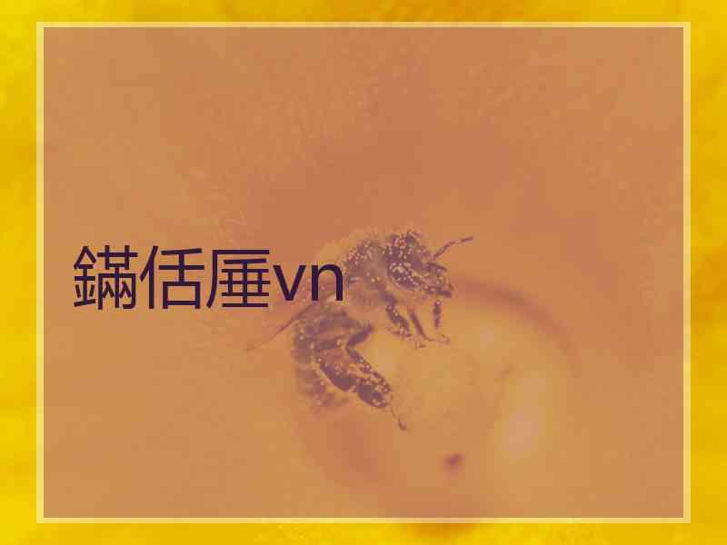 鏋佸厜vn