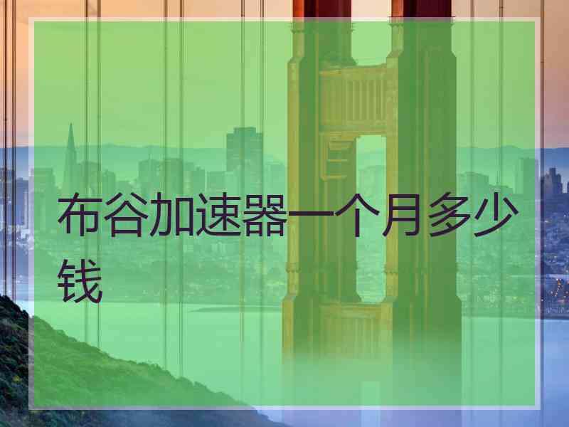 布谷加速器一个月多少钱