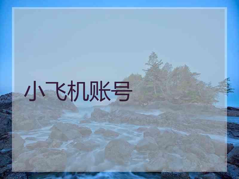 小飞机账号