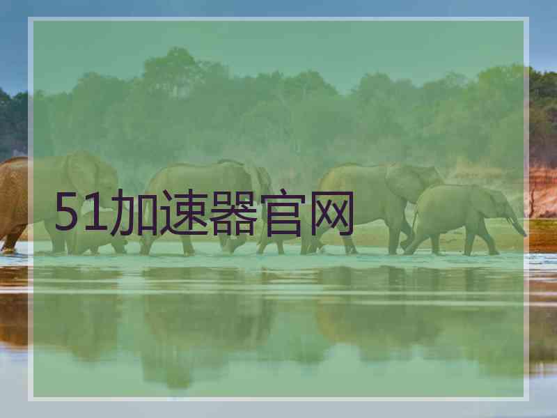 51加速器官网