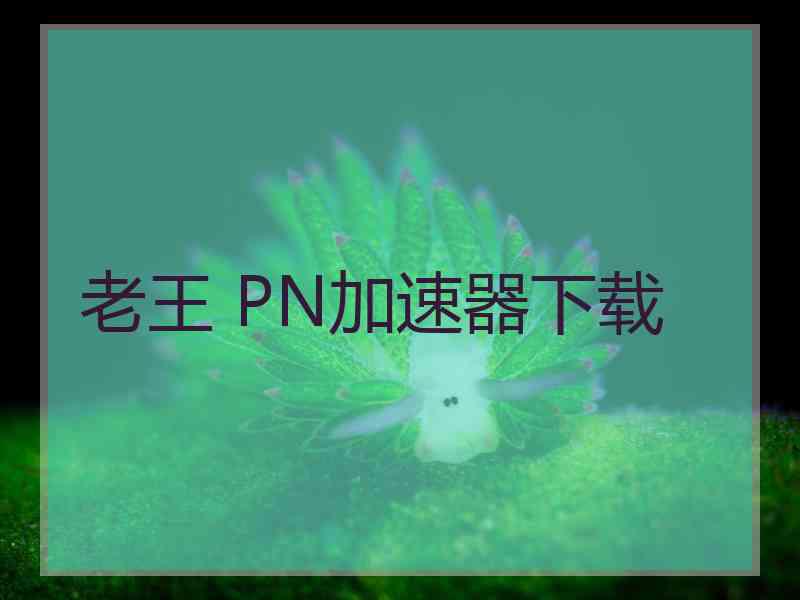 老王 PN加速器下载