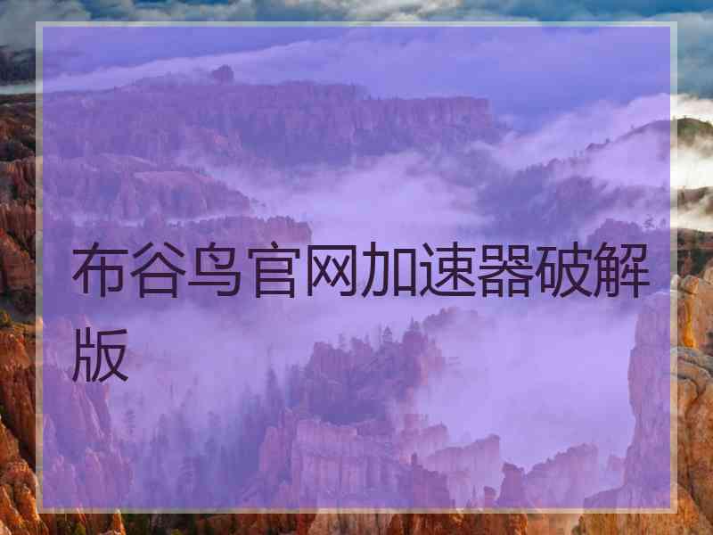 布谷鸟官网加速器破解版