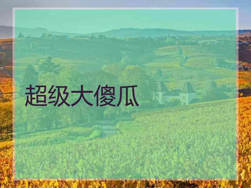 超级大傻瓜