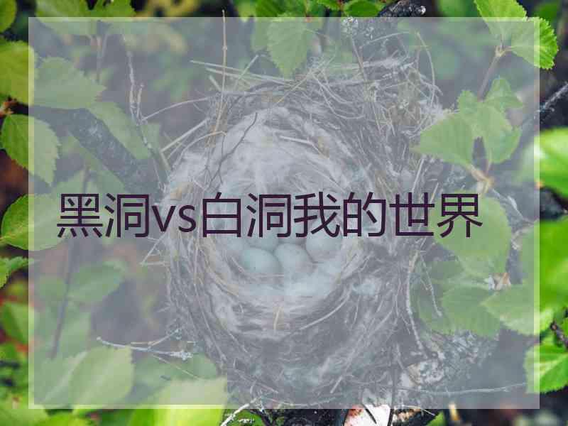 黑洞vs白洞我的世界