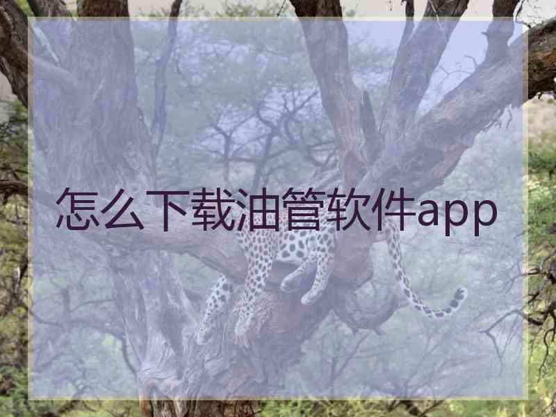 怎么下载油管软件app