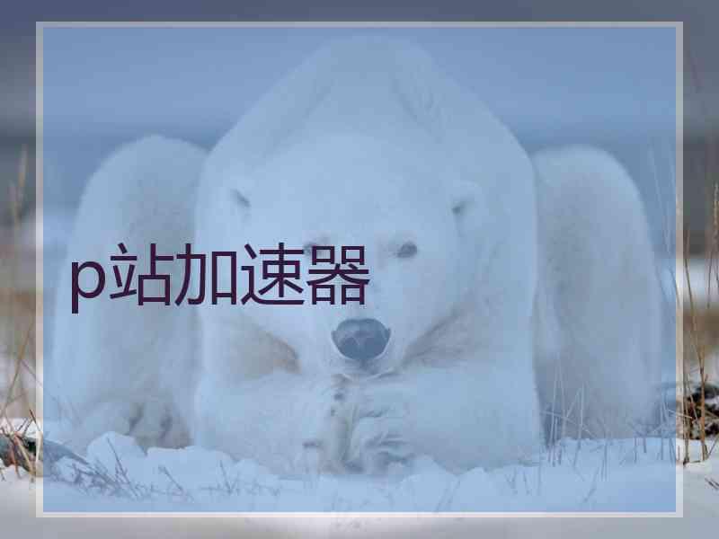 p站加速器