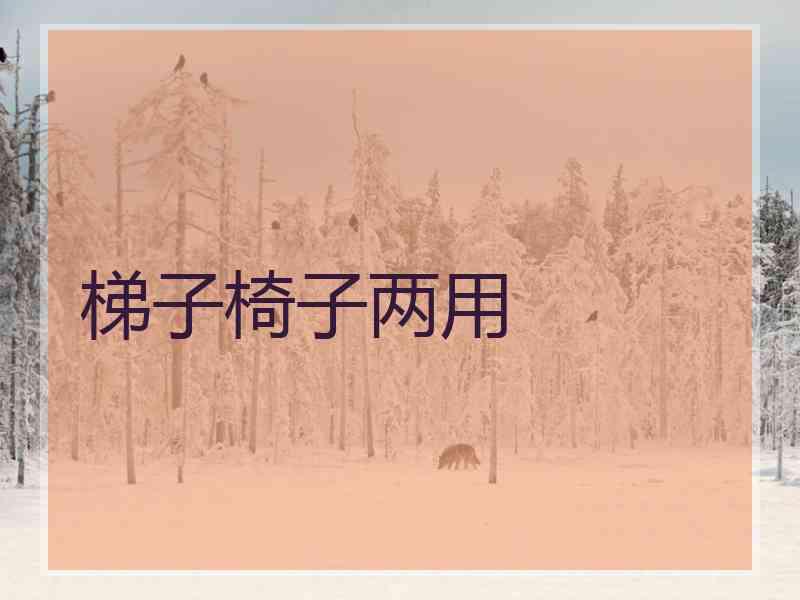 梯子椅子两用