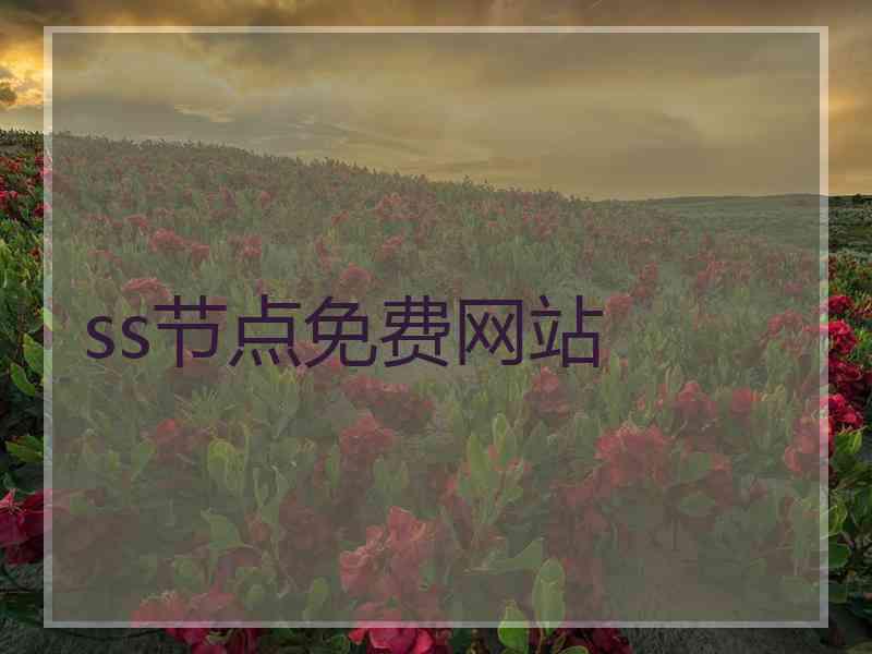 ss节点免费网站