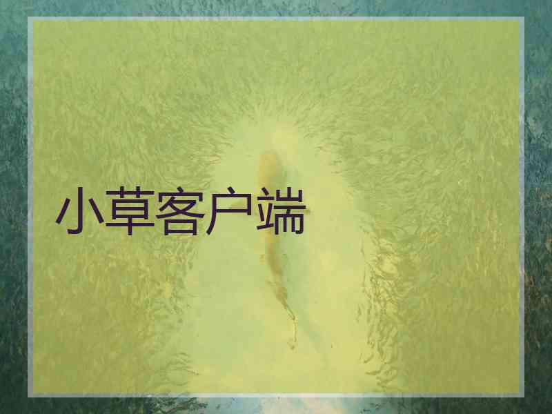 小草客户端