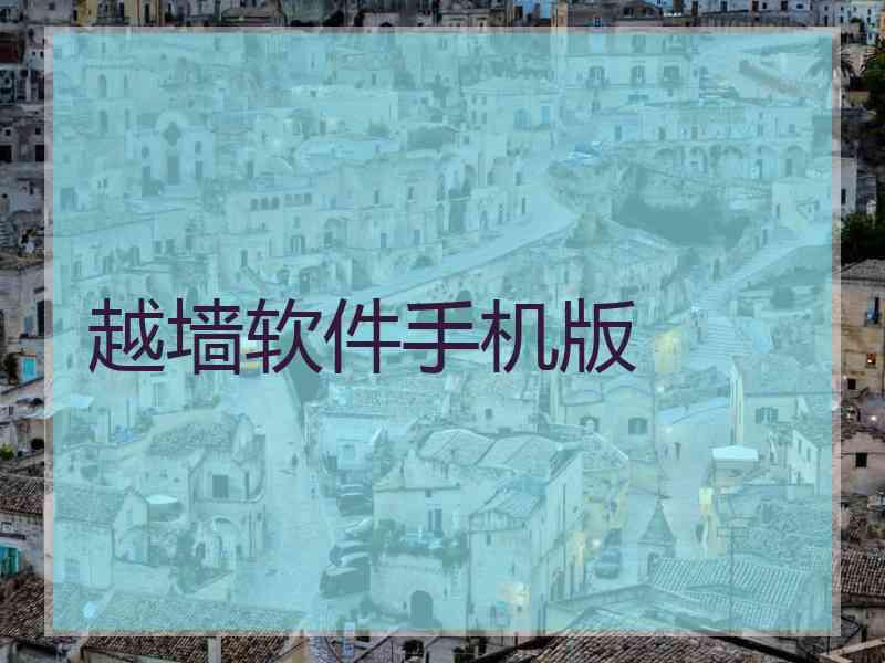 越墙软件手机版