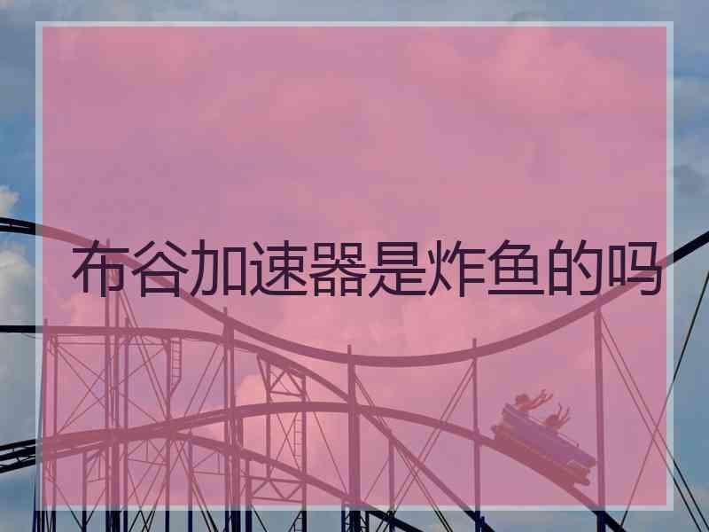 布谷加速器是炸鱼的吗