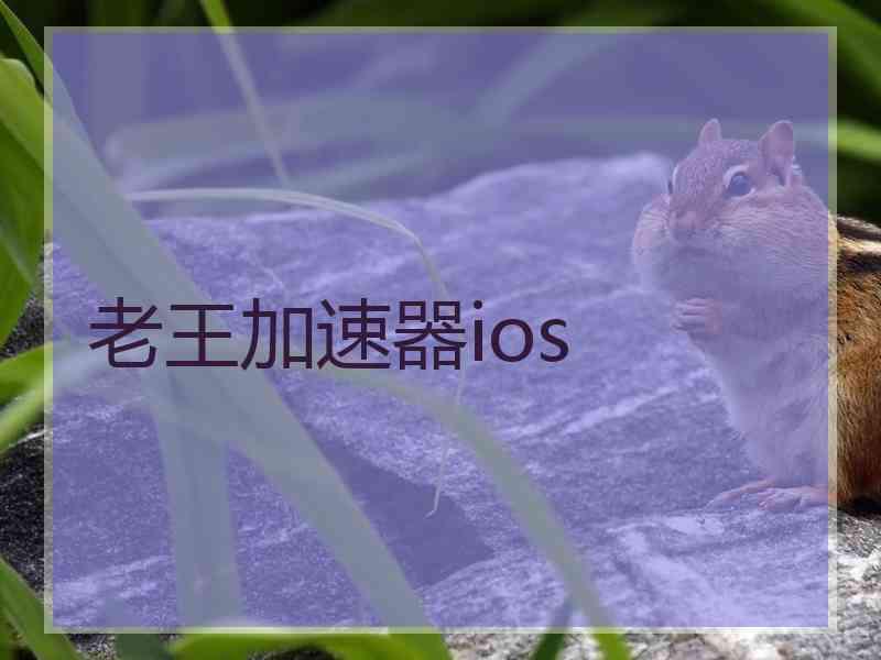老王加速器ios