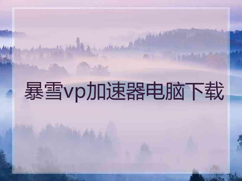 暴雪vp加速器电脑下载